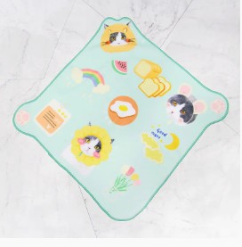 Sihirli Havlu Nedir?